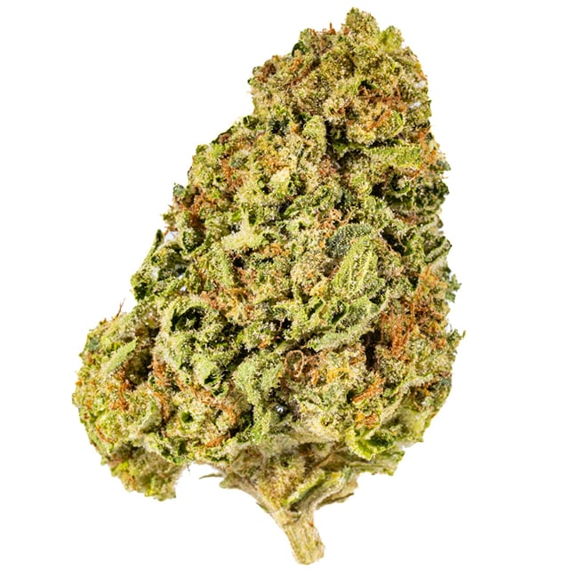 Orange Squeeze | 14G