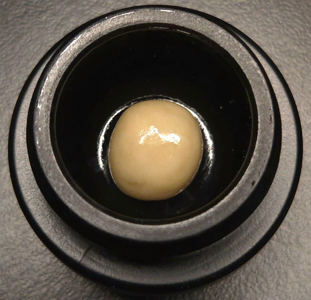 AXIOM: Benzina Fresh Frozen