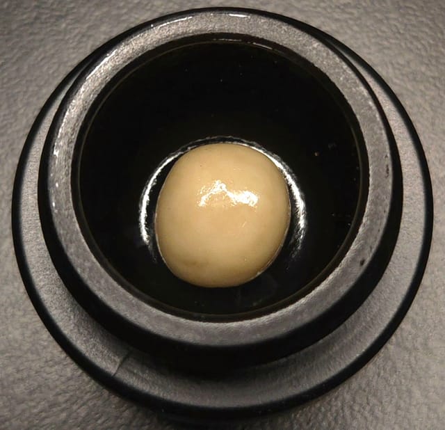 AXIOM: Benzina Fresh Frozen