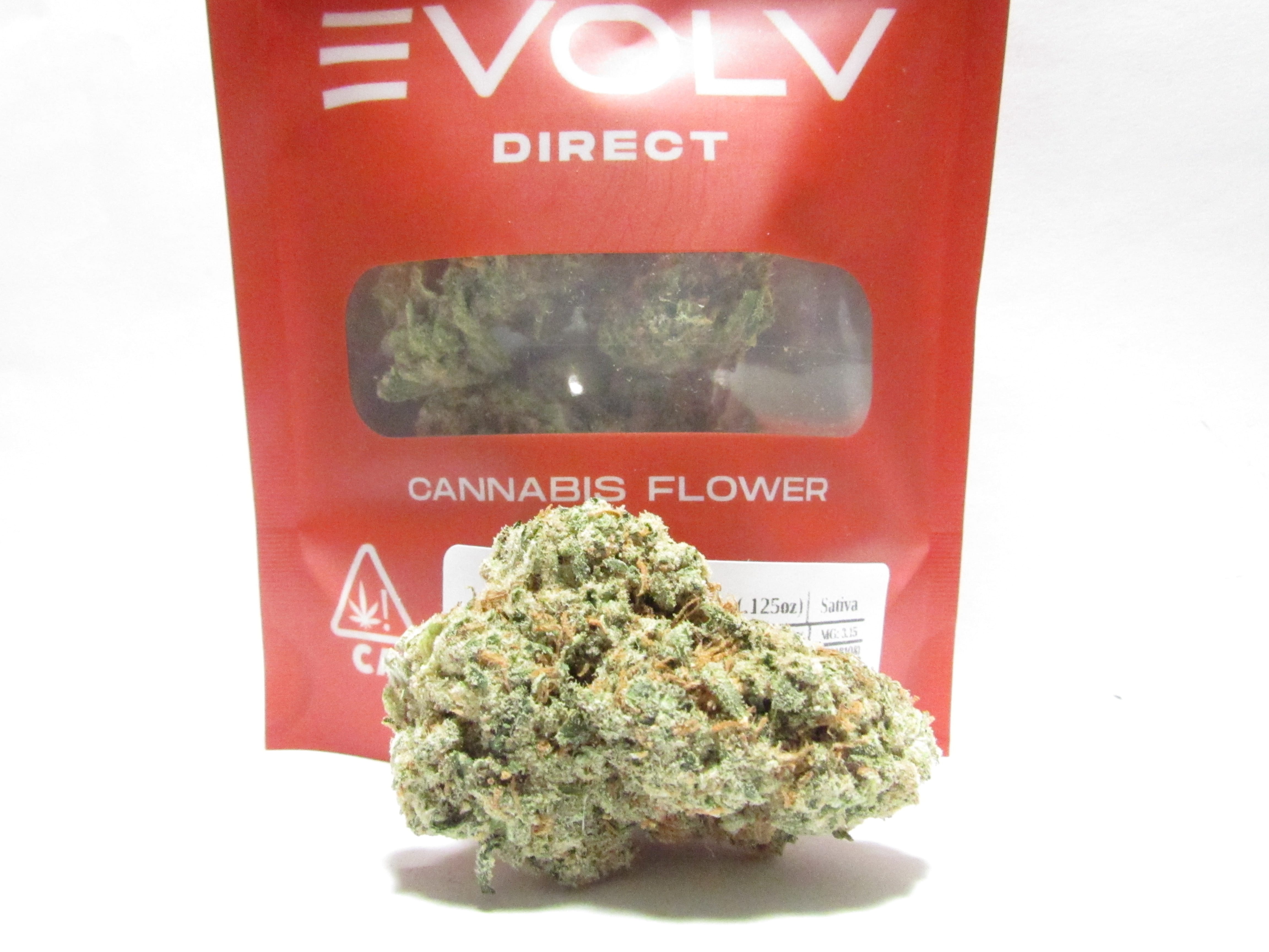 Evolv Direct: Lemon Jack