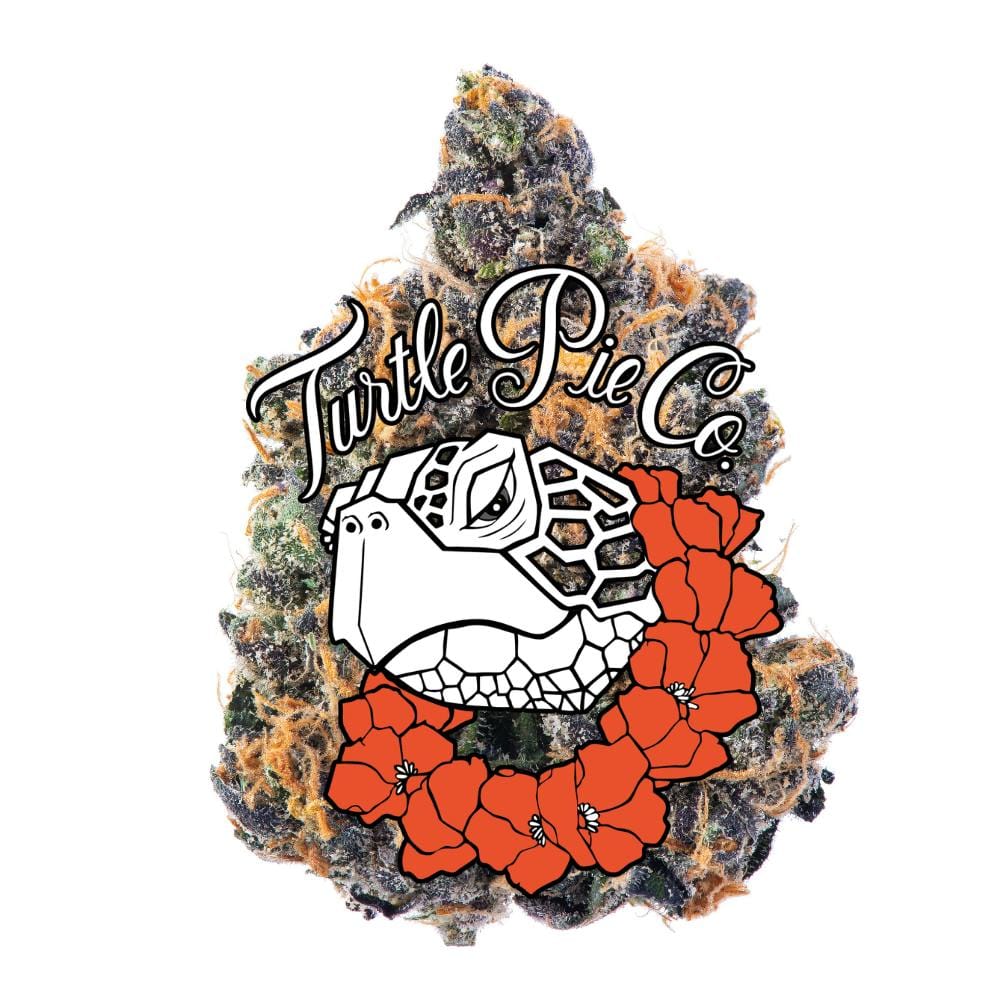Turtle Pie — The Original