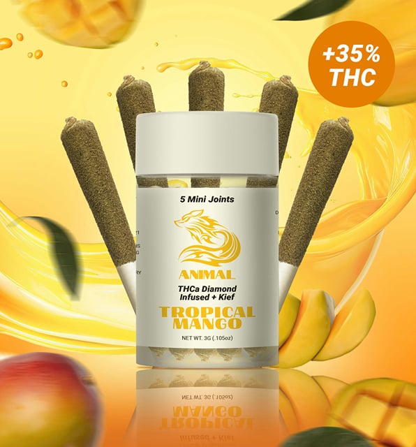 5pk(3G) Tropical Mango / THCa Diamond infused Joint