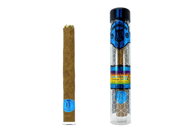 El Blunto by Albert Einstone's: Nucleo Blunt