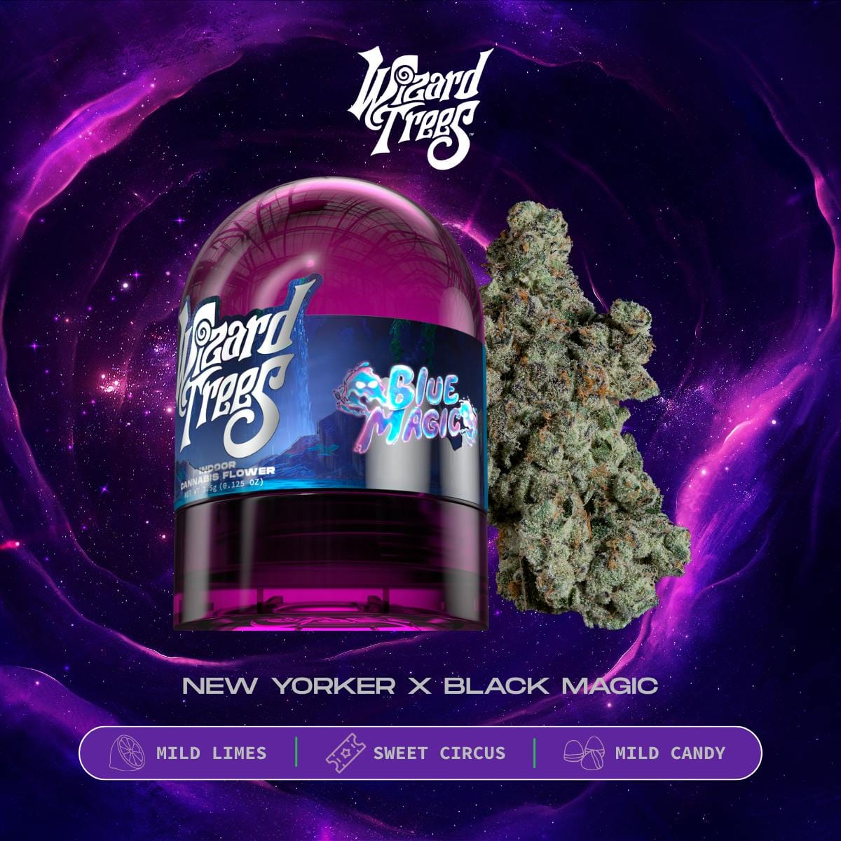 WIZARD TREES: Blue Magic Flw
