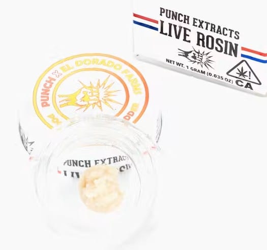 Punch Extracts: Poochie Berto - Tier 4