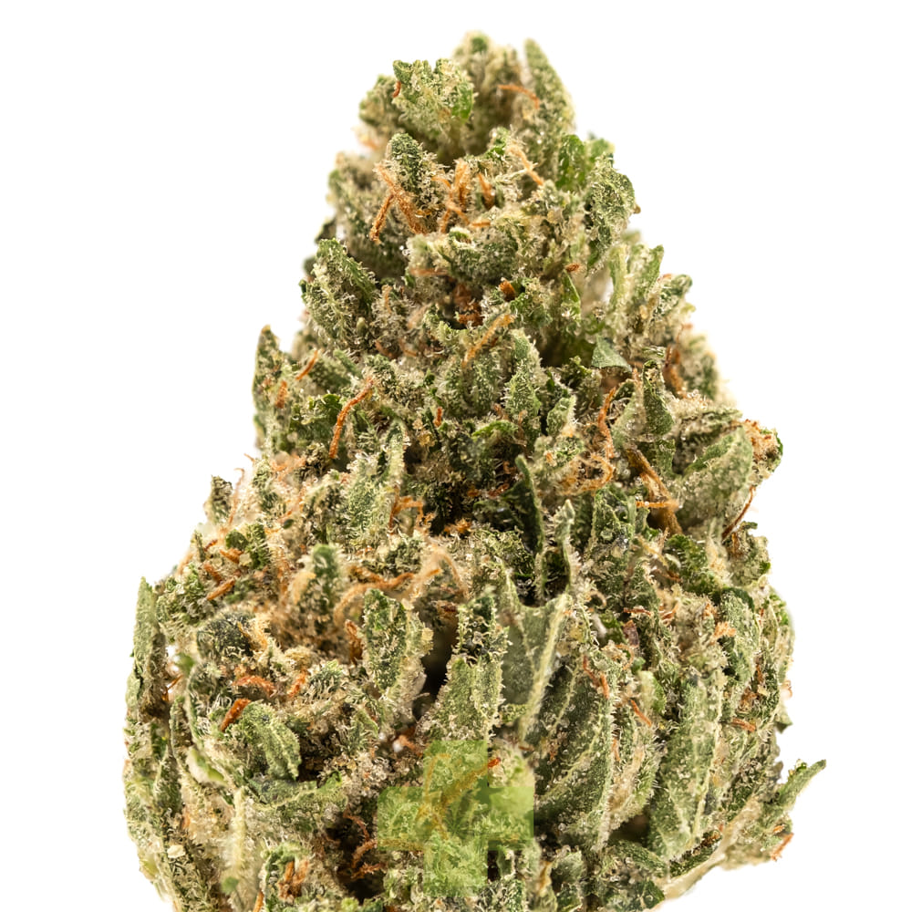 Soma Rosa: OG Kush, Sg