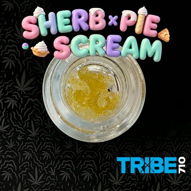 Tribe710 | Sherb × Pie Scream | 1g | Terp Sugar