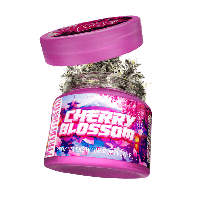 Cherry Blossom | Flower | 3.5g