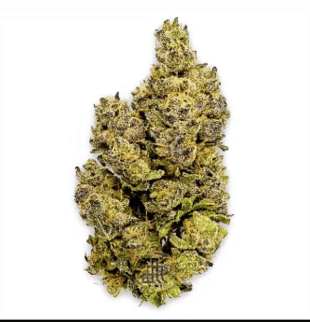 Black Truffle