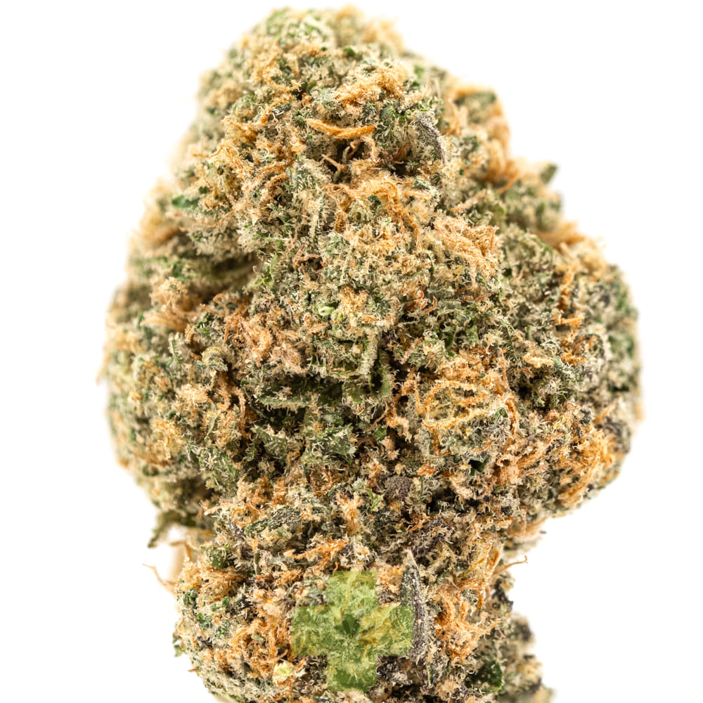 Preferred Gardens: The Rizz