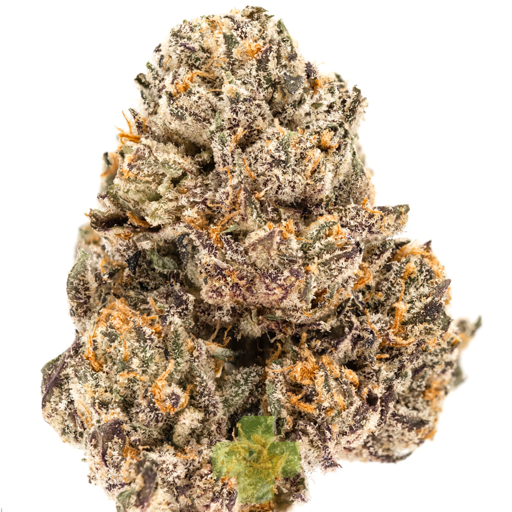 Preferred Gardens: Blue Sherb