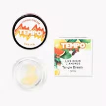 TEMPO: Tangie Dream