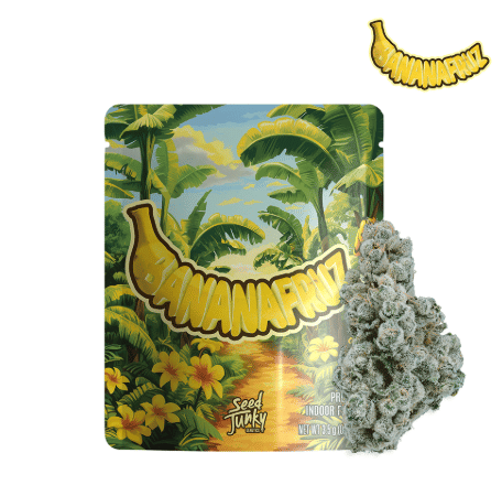 SEED JUNKY — Banana Fruz