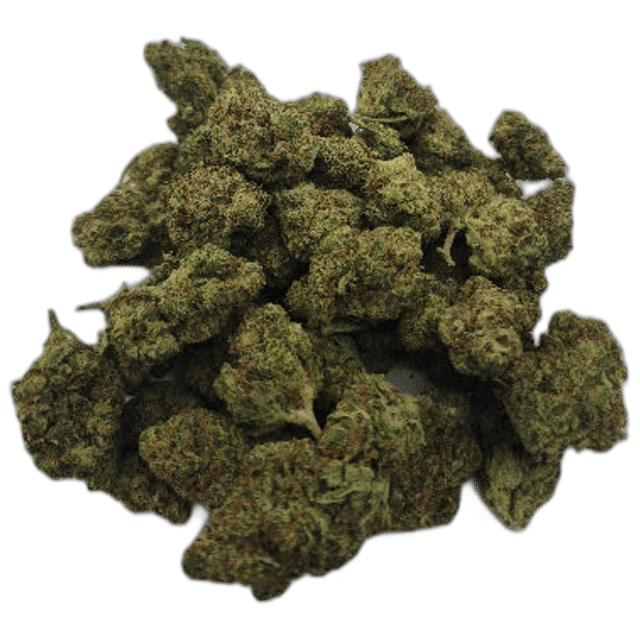 Lilac Diesel - Flower
