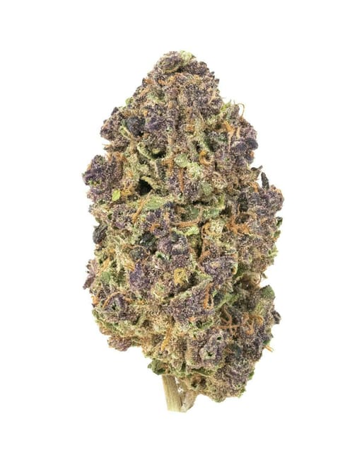 BURRS PLACE: Tropicanna Shoes - Bag