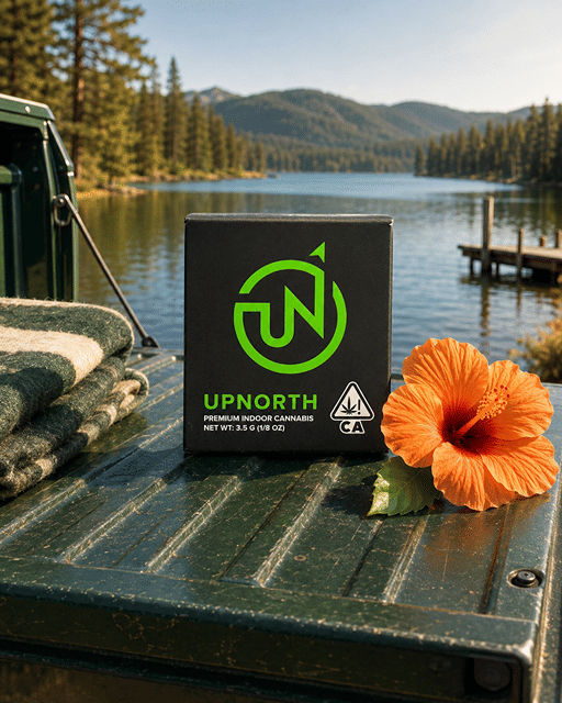 NYC Diesel (H) 3.5g | UpNorth