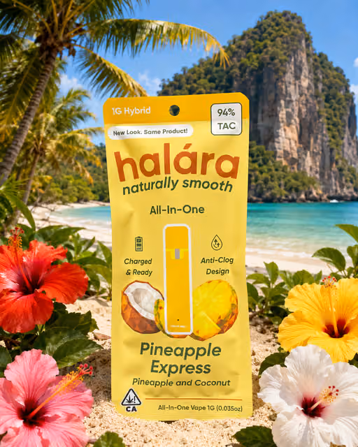 Pineapple Express (H) 1g AIO| halára