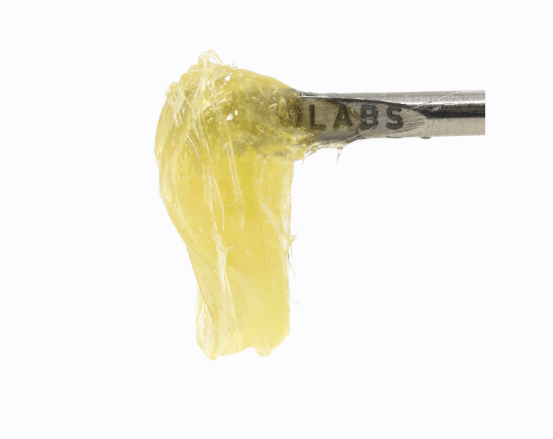 710 Labs: Oranges #25 - Persy