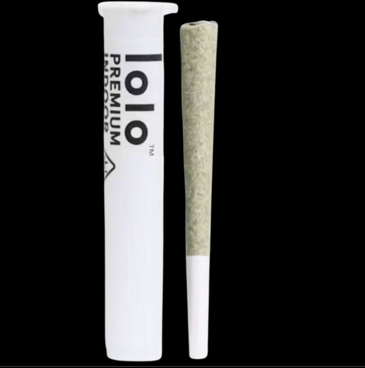 lolo: Kosher Tangie