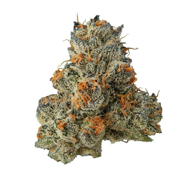 Krypto Chronic #1