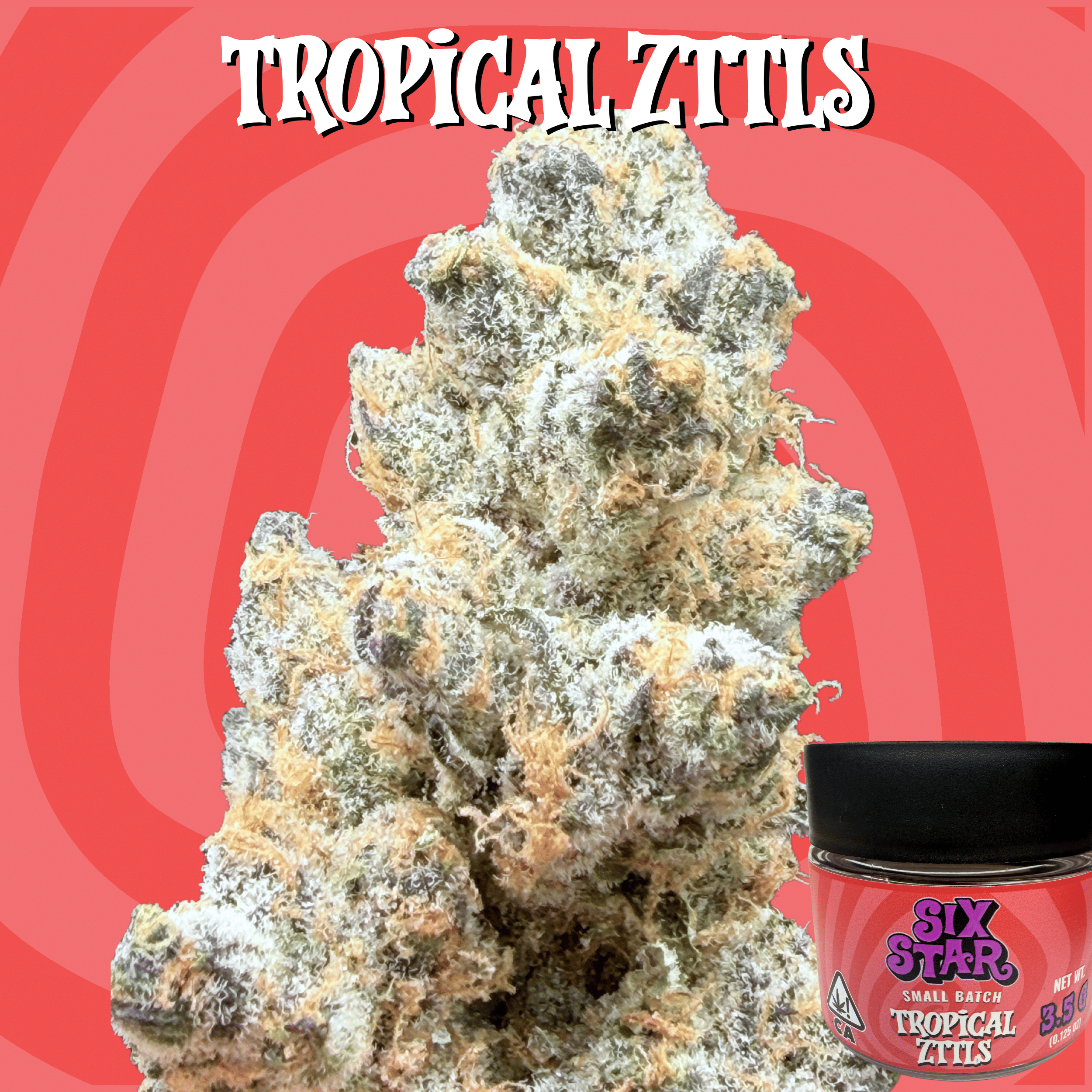 6 Star: Tropical Zttls