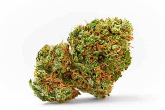 Fortune OG