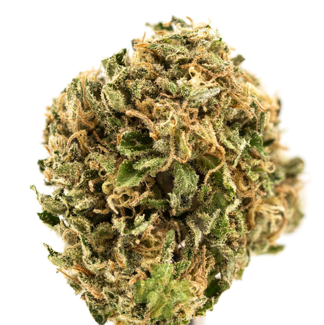 Most Wanted: Cannatonic, Sg