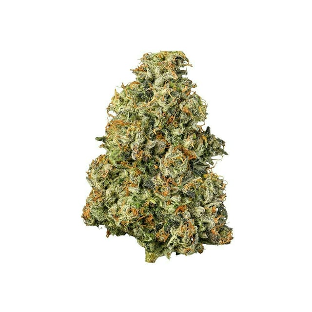 Gascotti - Indoor Flower