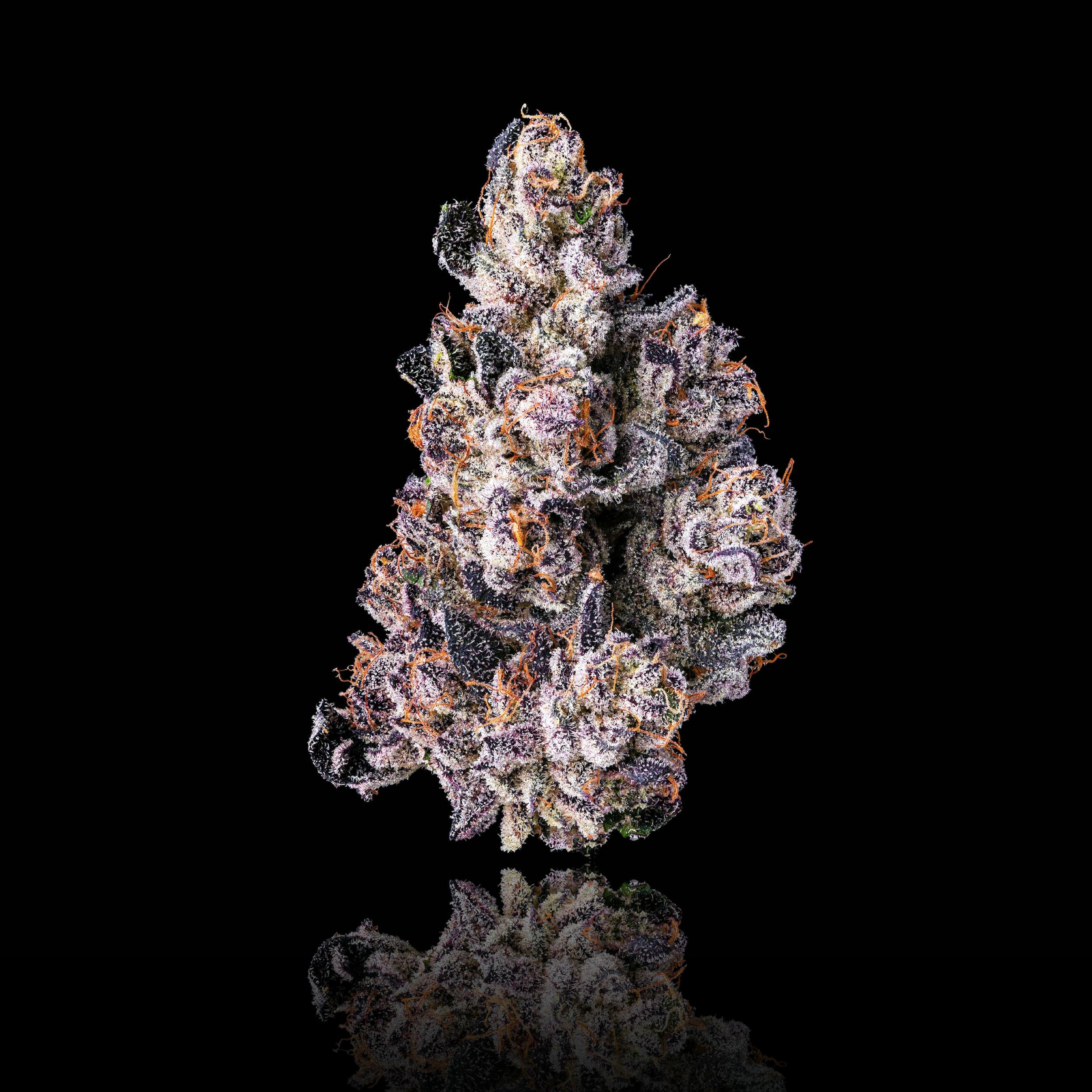 Maven | 1g - Dirty Laundry - Pre-Roll - Maven Genetics - - $10 - Pre-Rolls
