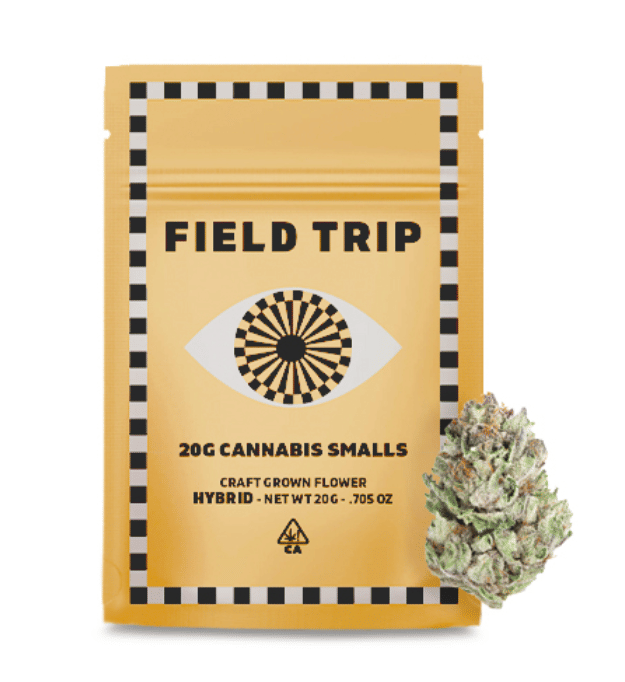 Field Trip: Cherry Royale