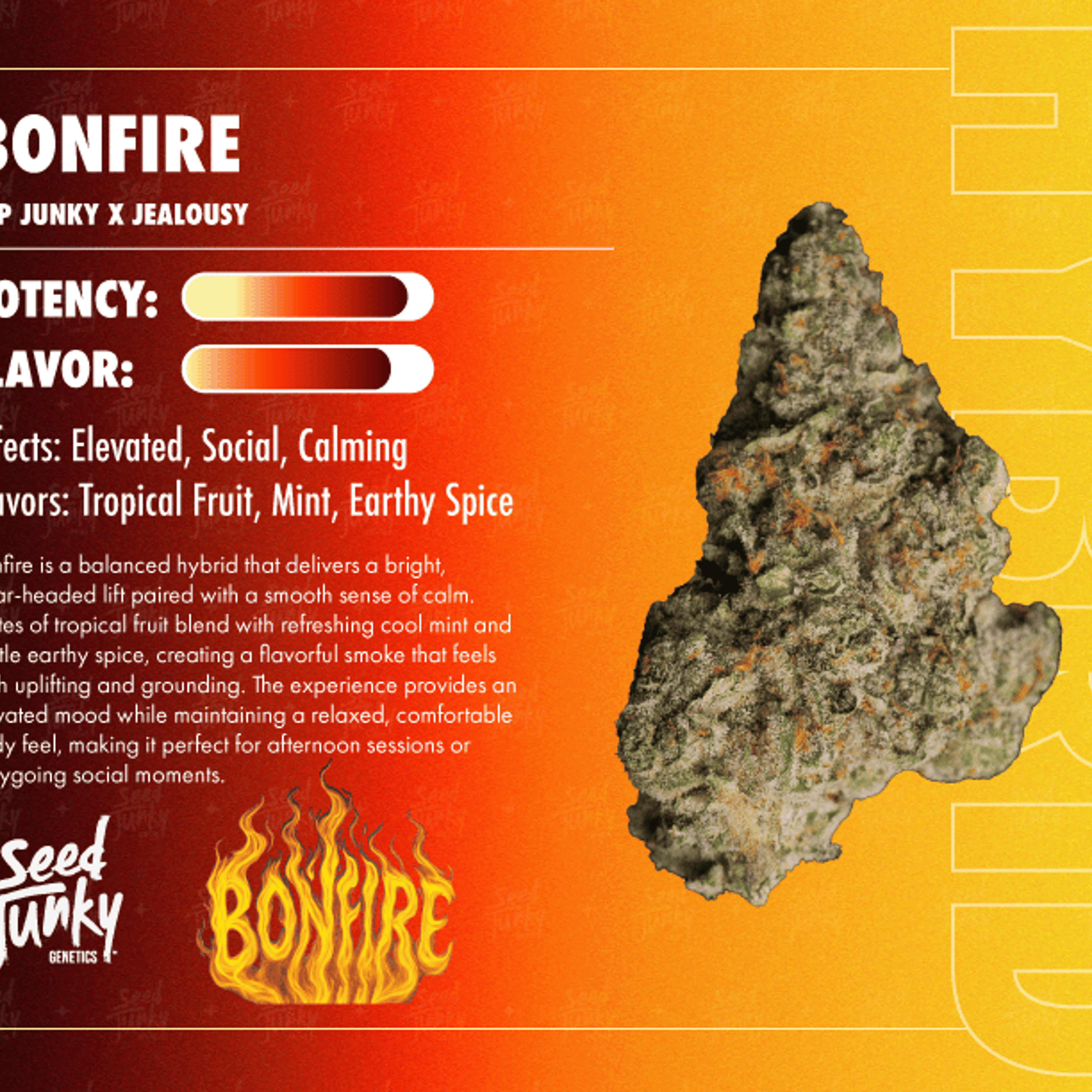 Seed Junky | 3.5g - Bonfire - Hybrid - Seed Junky - - $22.77 - Flowers