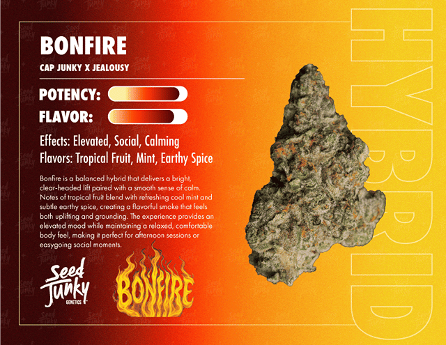 Seed Junky | 3.5g - Bonfire - Hybrid
