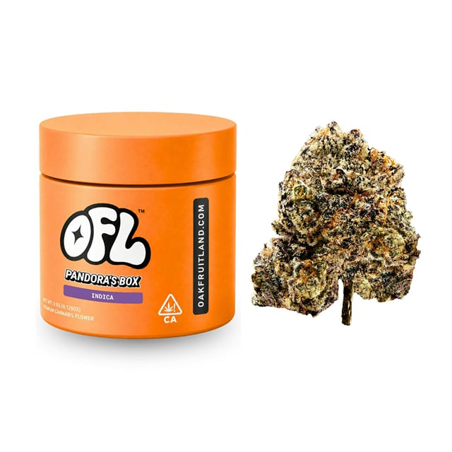 Pandoras Box 3.5G Jar