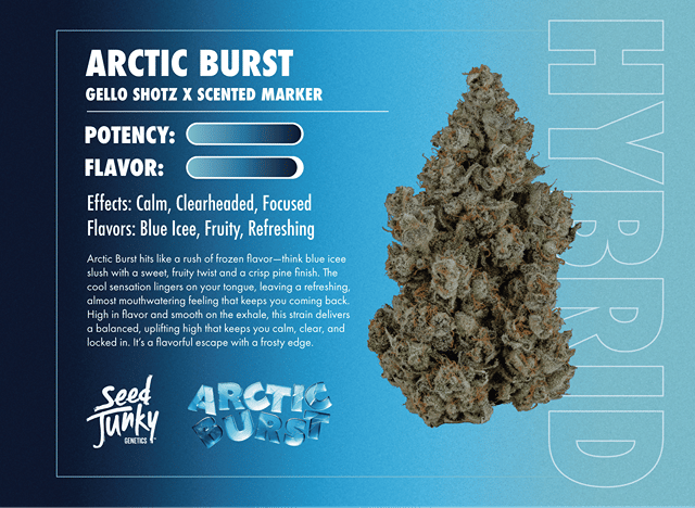 Arctic Burst 7g
