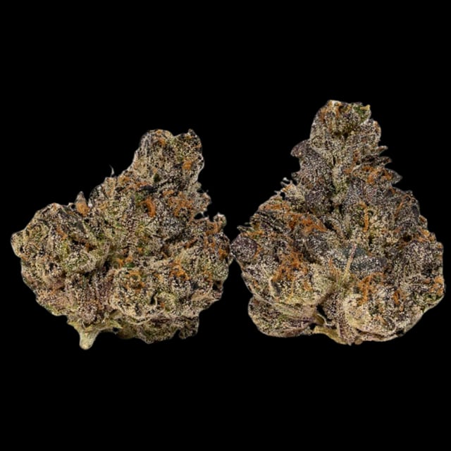 Sakura 7g