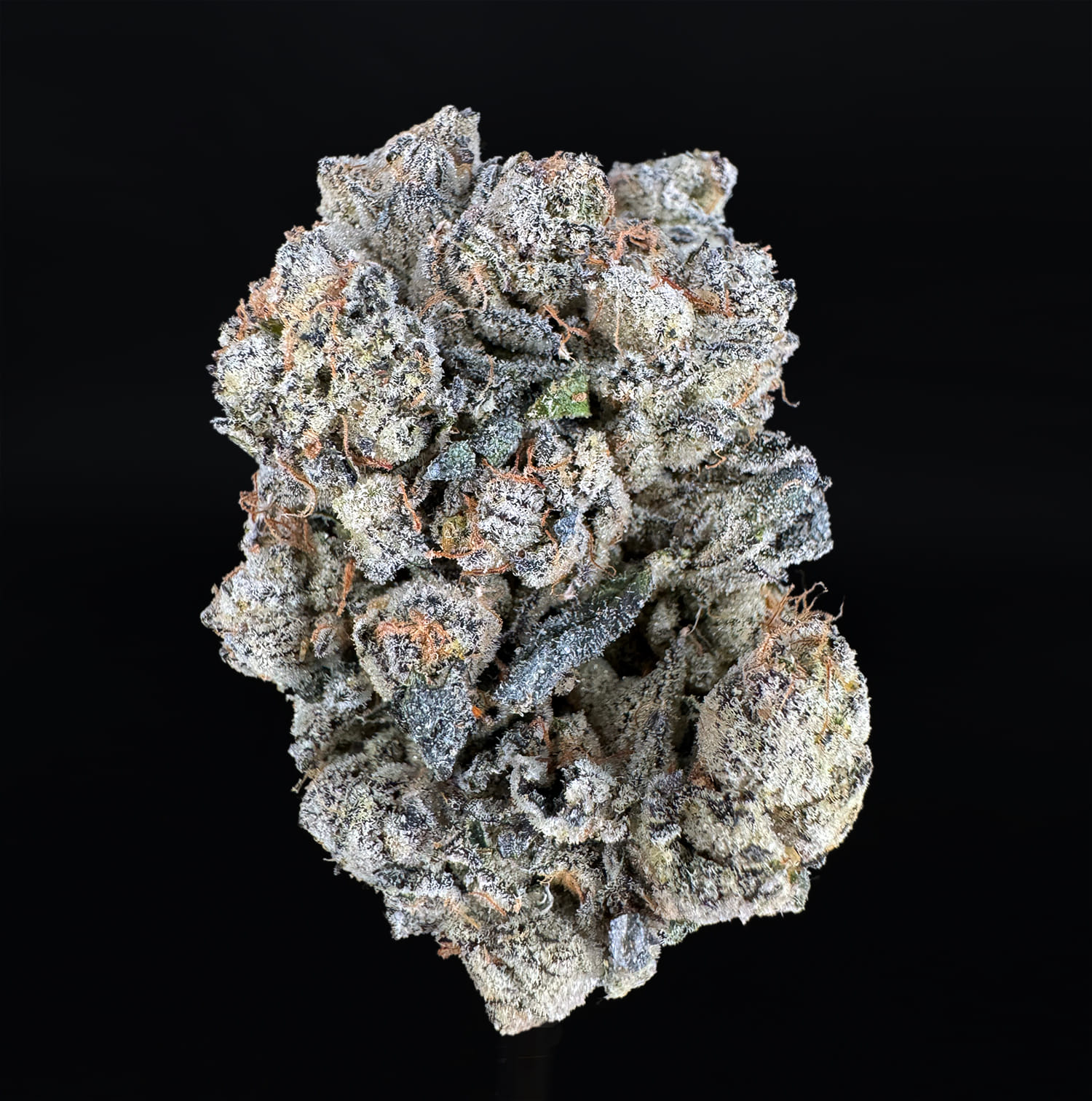 G3 Cultivators: LA Cherries