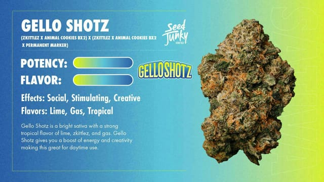 Gello Shotz 1g Pre Roll (S)