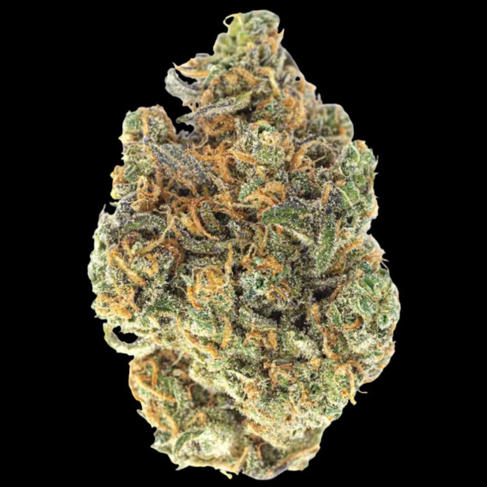 Quiet Kings: Durban Poison