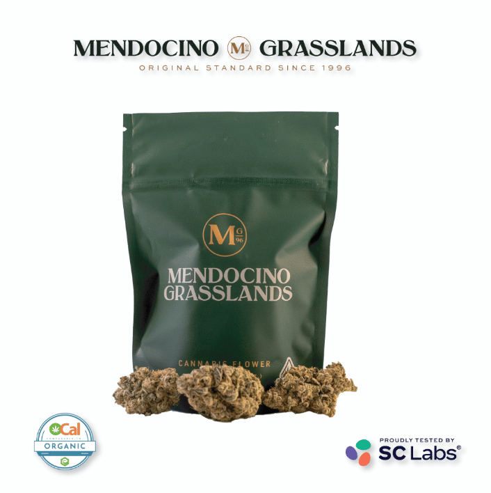 Mendocino Grasslands: Sales Floor