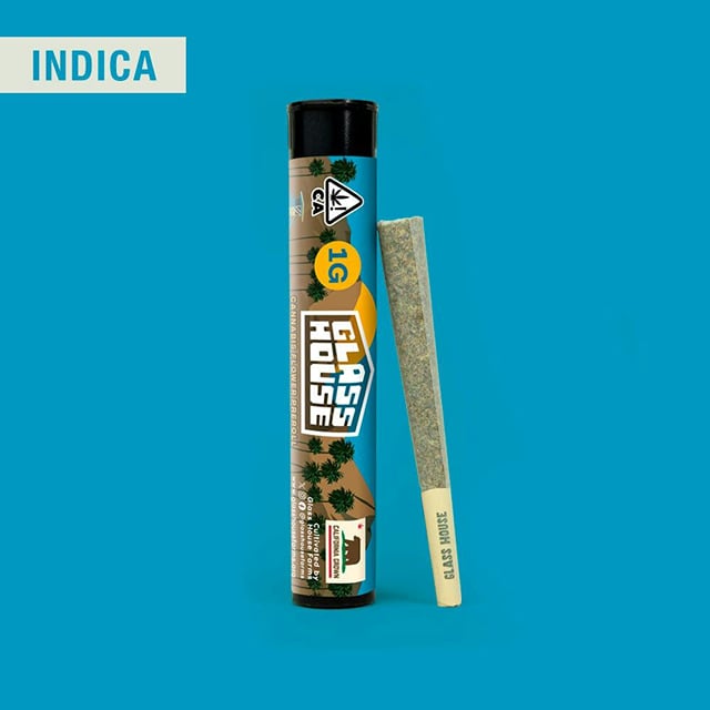 1g Black Garlic Gelato Preroll