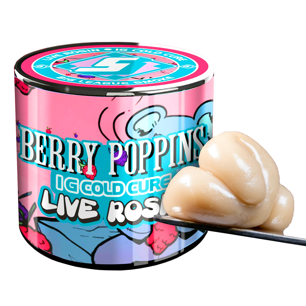 Sluggers: Berry Poppins