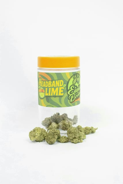 Headband Lime | 14g