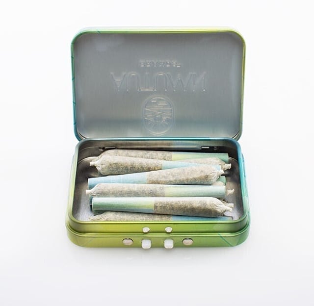 Sour Power #69 | 10pk Mini Infused Preroll