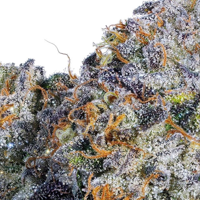 Chloroform Indoor (3.5g)