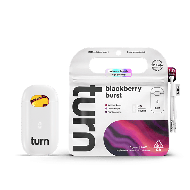 TurnOne: Blackberry Burst 1G Botanica Disposable