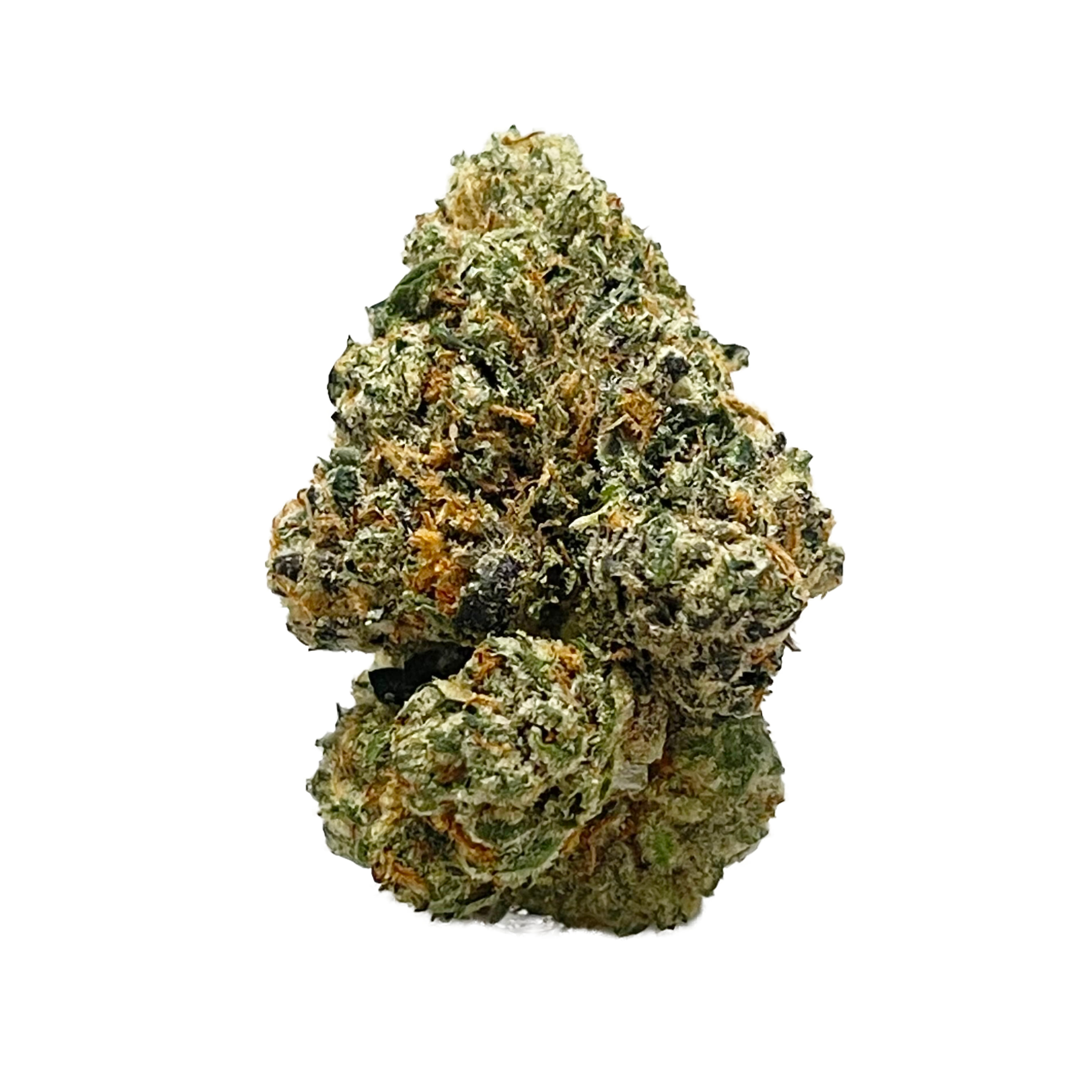 Passiflora: GMO X OG