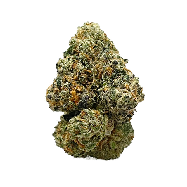 Passiflora: GMO X OG
