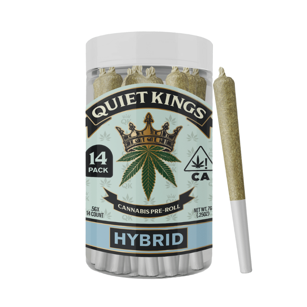 Quiet Kings: Dream Queen