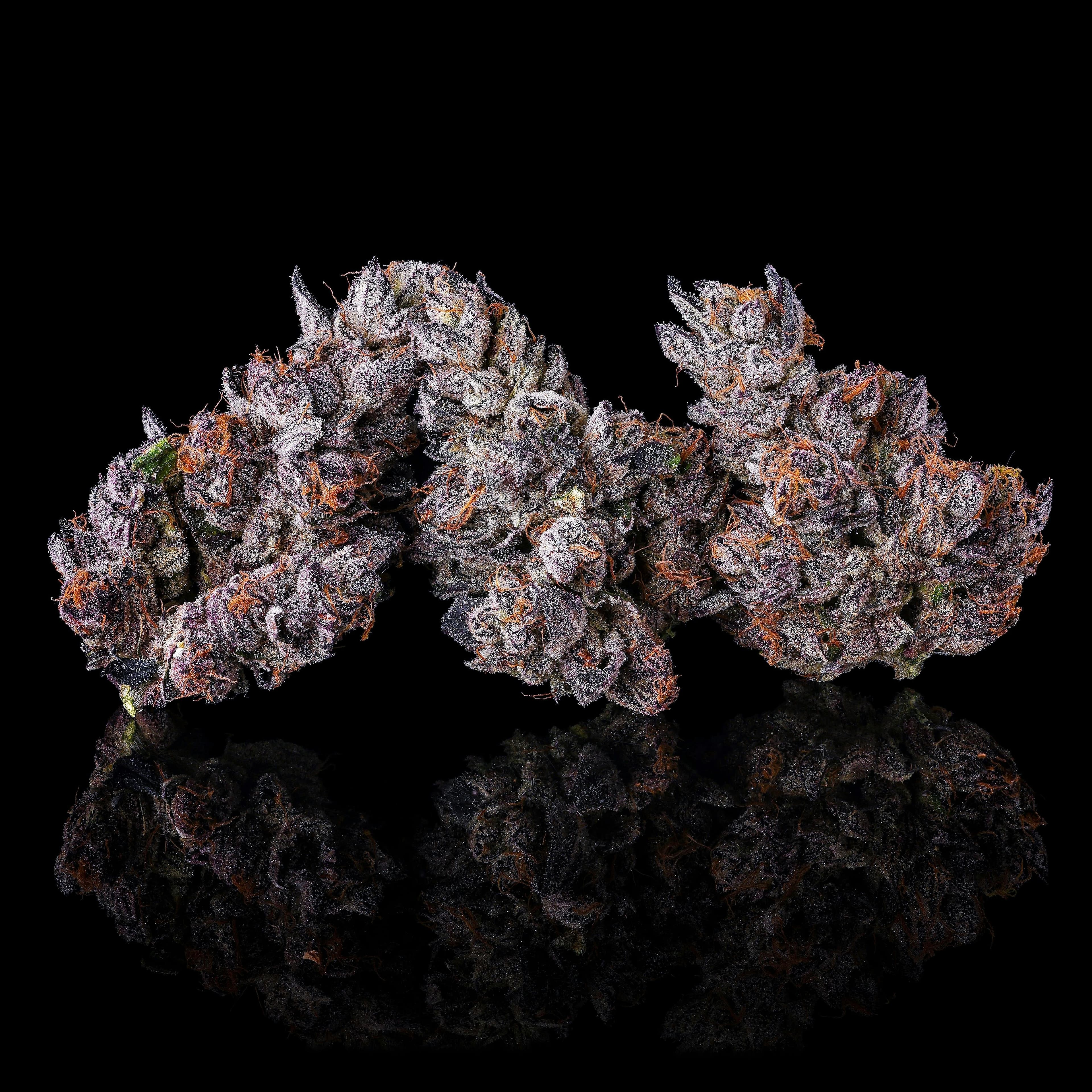 Maven | 1g - Dirty Laundry - Pre-Roll - Maven Genetics - - $10 - Pre-Rolls