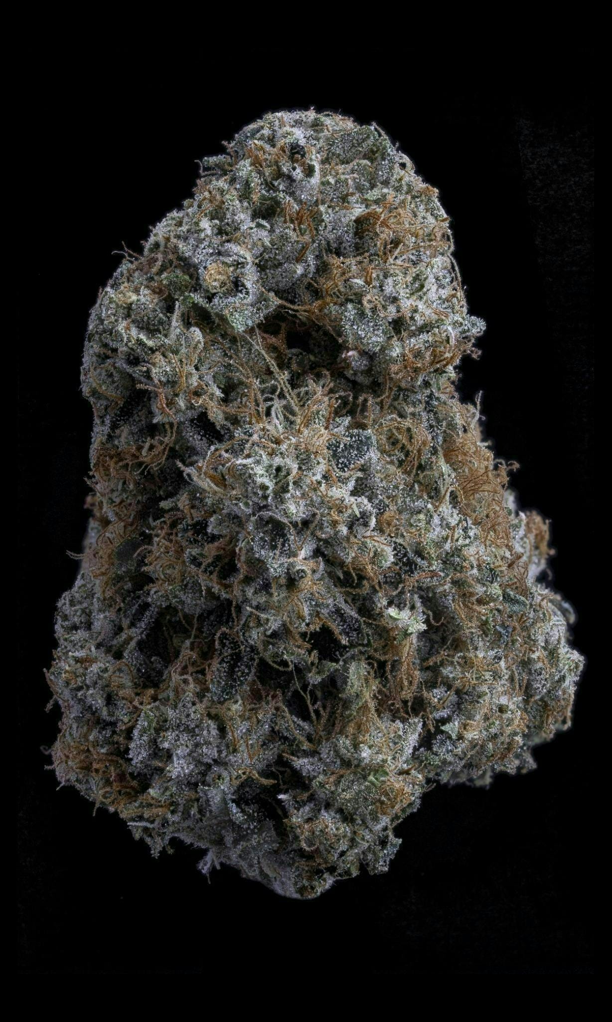 Sticky Status: Gorilla Glue Jar
